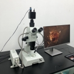 olympus szx9 stereomicroscope