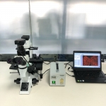 olympus CKX41 Biomicroscope fluorescence microscope